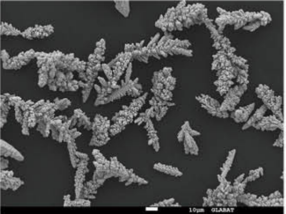 SEM photo copper alloy powder