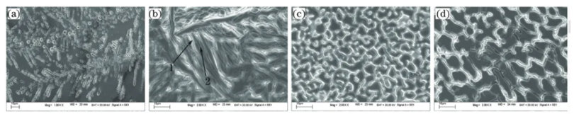Effect of Ni Addition on Microstructure and Properties of 2 CuAl10 copper alloy china supplier