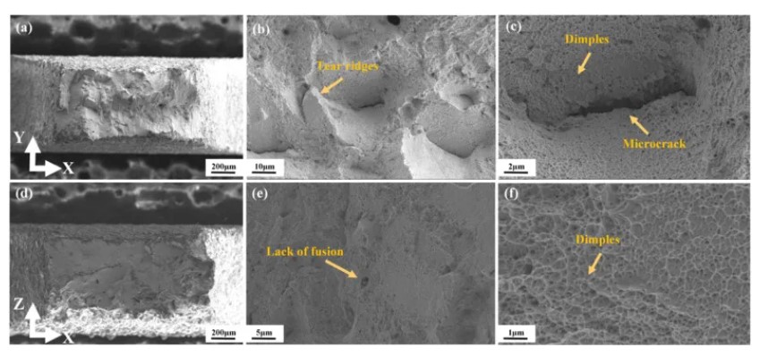 Haynes 188 powder fracture morphology