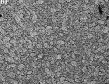 Surface Repair of 7075 Aluminum Alloy by AFSD